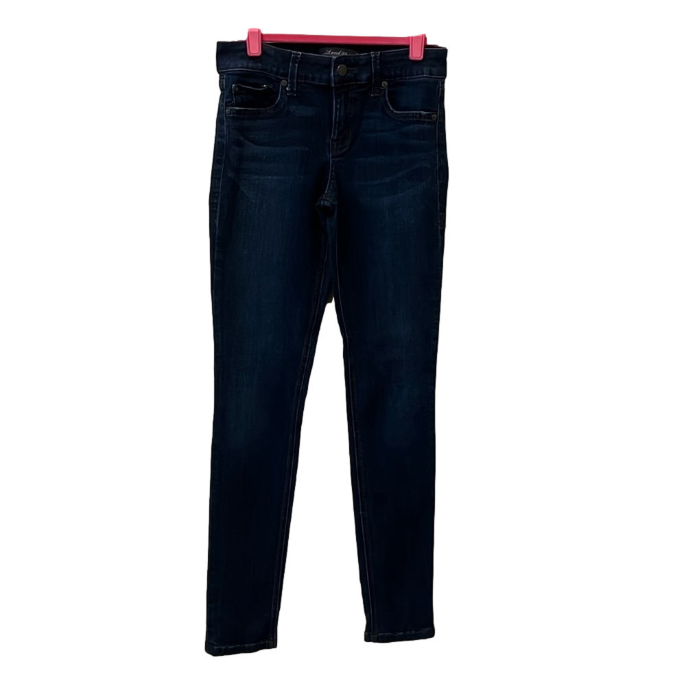 Level 99 Liza skinny jeans, size 27 🔵